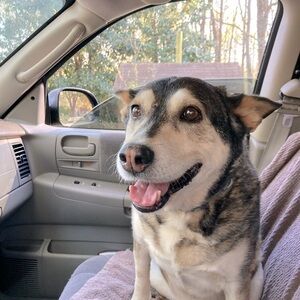 Meet your Posher, Leah